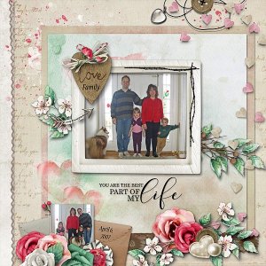 The Love of Family