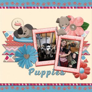 Puppies