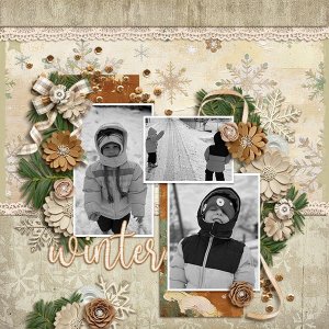 Winter - Snow Day