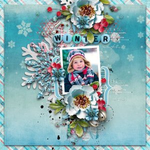 Snow Wonderland