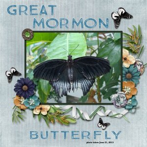 Great Mormon Butterfly small.jpg