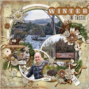 Snowy Friends in Tassie