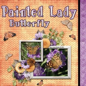 Painted Lady Butterfly small.jpg