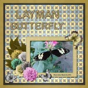 Layman Butterfly small.jpg