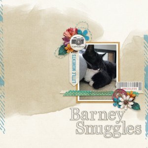 Barney Snuggles 1