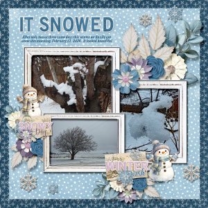 2-February 11, 2026 snow small.jpg