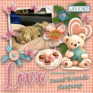 GS_2026Jan_SleepingBrandi2.jpg