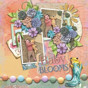 DLPatt_BabyBlooms_web.jpg