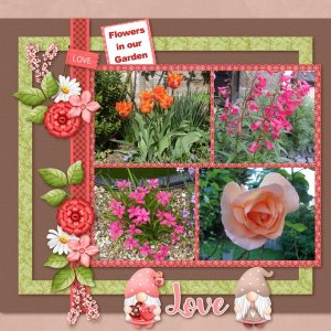 Flowers In Our Garden