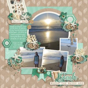 Beach- Where the Waves Are