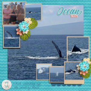Ocean-View-web.jpg