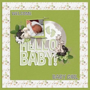 welcome baby girl