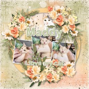 Maddy