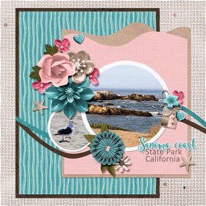 Sanoma Coast