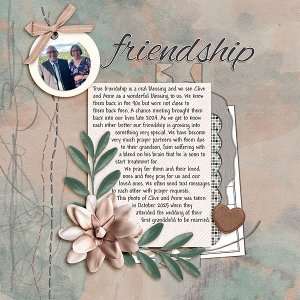 Friendship