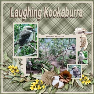 Laughing Kookaburra small.jpg