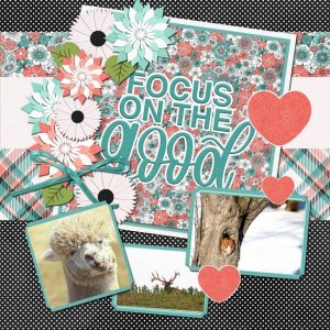 Focus on the Good