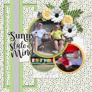 Sunny State of Mind