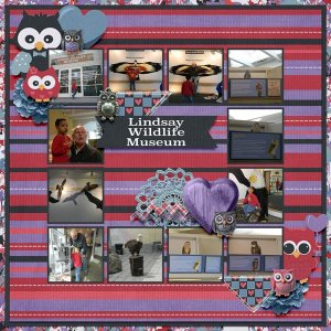 Lindsay Wildlife Museum