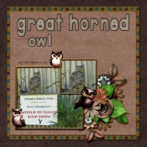 Great Horned Owl small.jpg