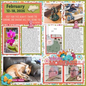 WK 7 February 12-18 2026.jpg