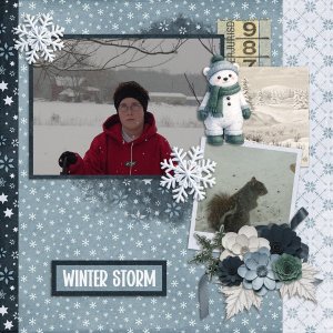 Snowed In-Connie Prince.jpg