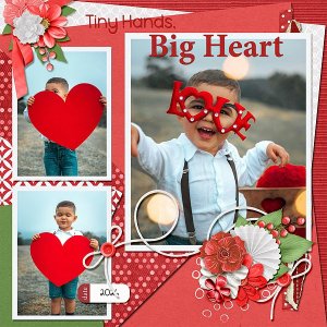 Tiny Hands, Big Heart