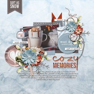Cozy Memories