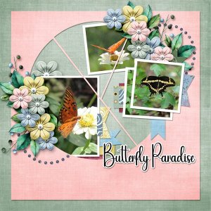 Butterfly-Paradise.jpg