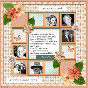 27th-Feb. 2026 Template Challenge-My parents..jpg