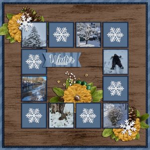 winter memories 2026