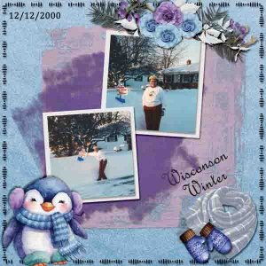 06 Wisconsin Snow -- Created with Rewards.jpg