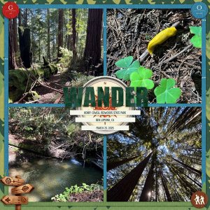 Wander