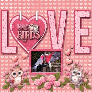 Love Birds
