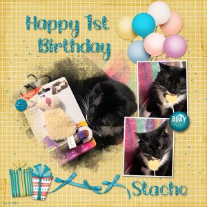 Birthday Boy