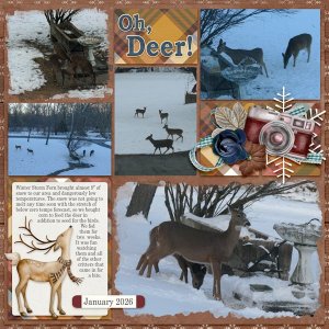 Oh, Deer!