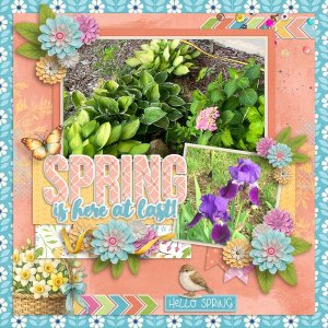 Spring-web.jpg