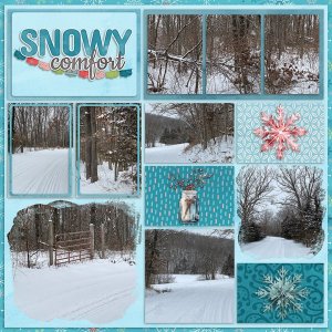 Snowy-Comfort-web.jpg