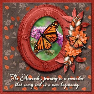 Monarch Butterfly