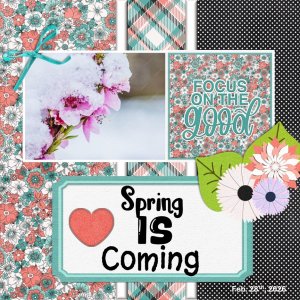 February 2026 Use It All Challenge.jpg