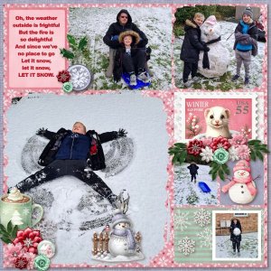 Fun In the Snow