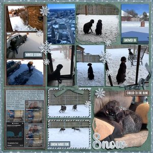 Owasso Oklahoma Winter Snow Storm 1.23-27.2026