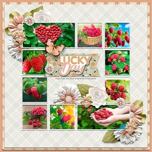 February 2026 Template Challenge _2 from J. Conlon and Sons Gala.jpg