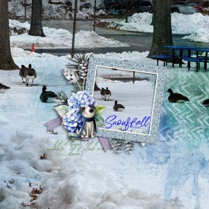 Snowfall.jpg