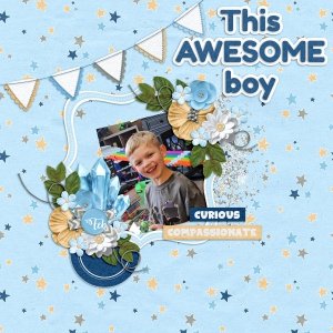 This Awesome Boy