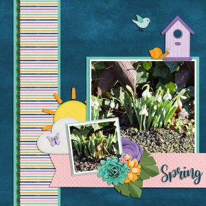 sign of springs