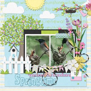 Springtime