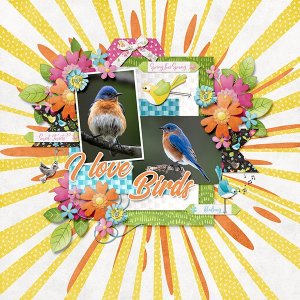 Birdsong