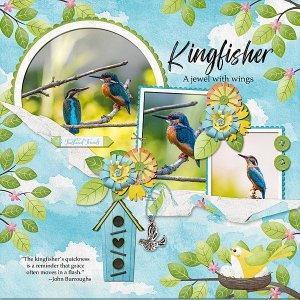 Kingfisher