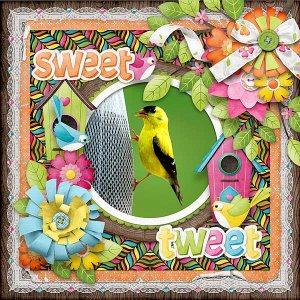 Sweet Tweet